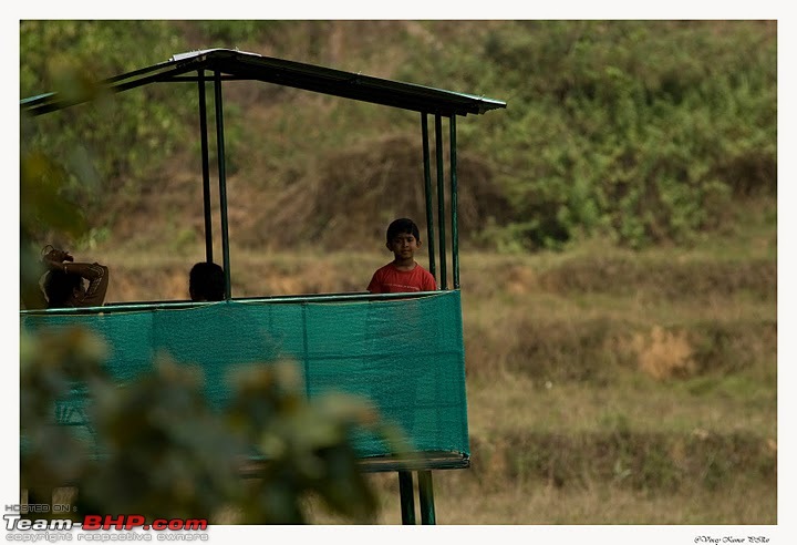 Looking for the ever elusive Tiger in Tirunelly forest near Wayanad-watch-tower.jpg