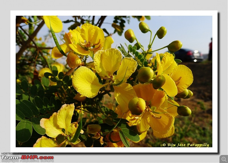 Potholes that I love. A summer trip to Kukdi River Potholes at Nighoj, Ahmadnagar.-nighoj11.jpg