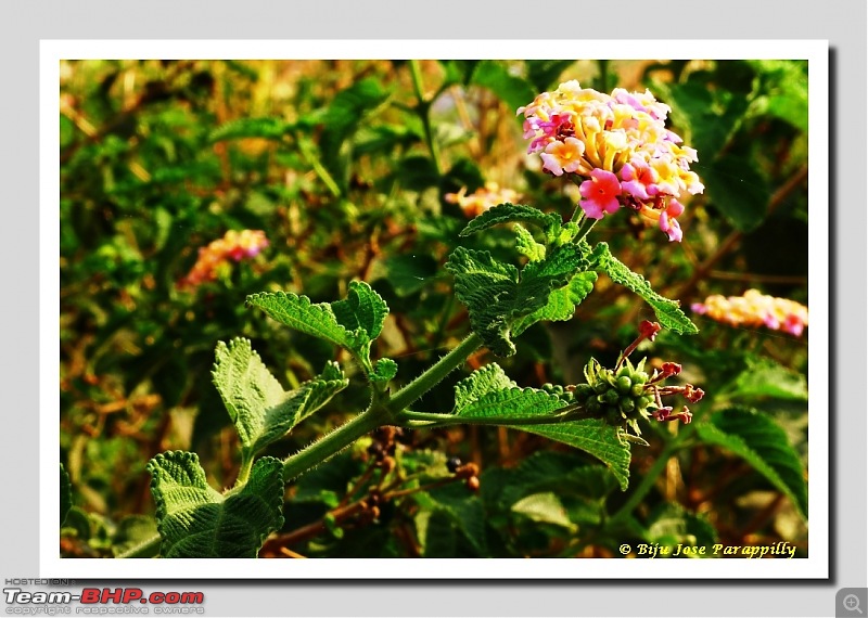 Potholes that I love. A summer trip to Kukdi River Potholes at Nighoj, Ahmadnagar.-nighoj15.jpg