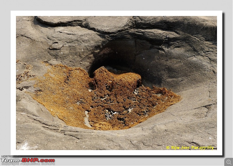 Potholes that I love. A summer trip to Kukdi River Potholes at Nighoj, Ahmadnagar.-nighoj46.jpg