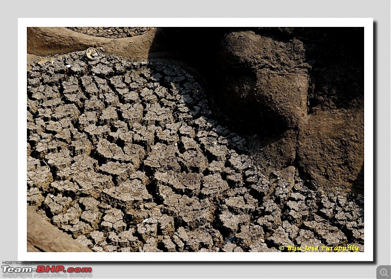 Potholes that I love. A summer trip to Kukdi River Potholes at Nighoj, Ahmadnagar.-nighoj37.jpg