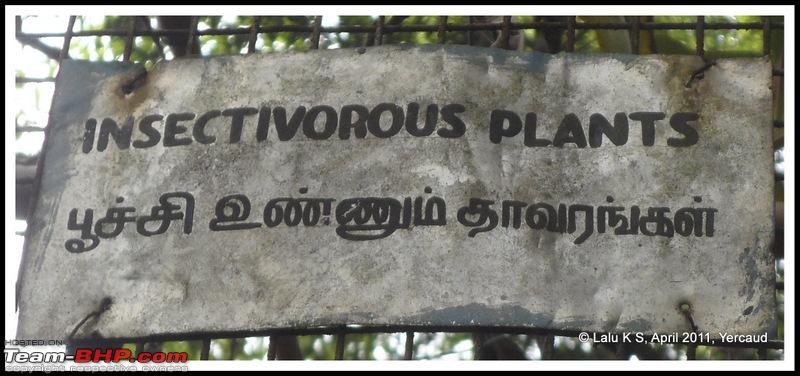Civved : Yercaud via Mahabalipuram and Pondicherry-sam_0449p.jpg