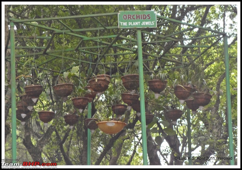 Civved : Yercaud via Mahabalipuram and Pondicherry-sam_0461p.jpg