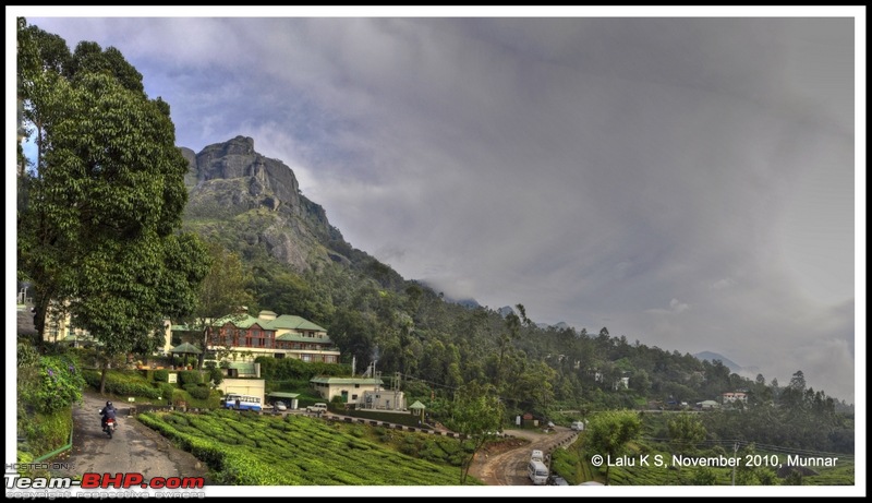 Civved : Kodaikanal, Munnar-_dsc4514p.jpg