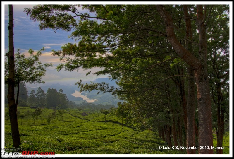 Civved : Kodaikanal, Munnar-_dsc4546p.jpg