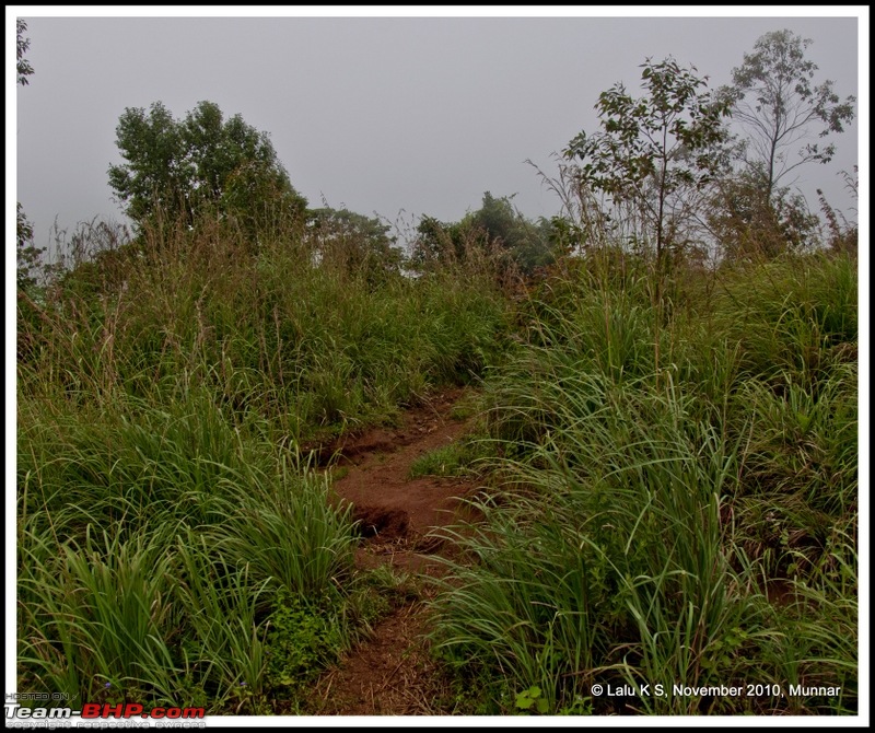 Civved : Kodaikanal, Munnar-_dsc4563p.jpg