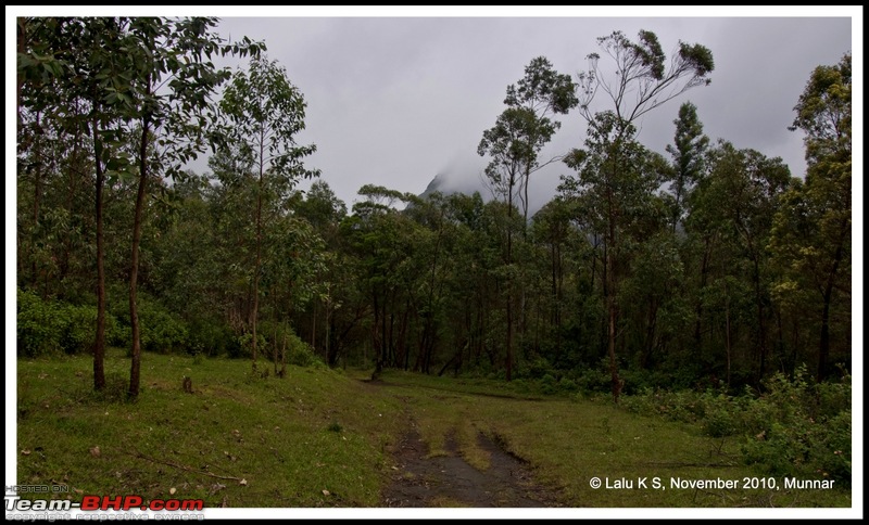 Civved : Kodaikanal, Munnar-_dsc4603p.jpg