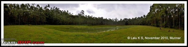 Civved : Kodaikanal, Munnar-_dsc4618p.jpg