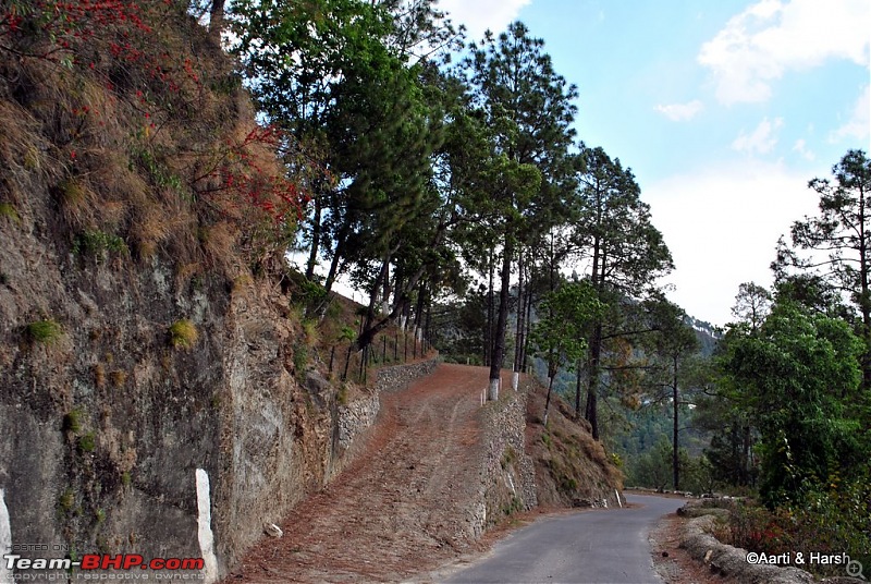 A drive to Pabbar valley & Chanshal: Spring break 2011-dsc_49621.jpg