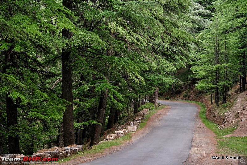 A drive to Pabbar valley & Chanshal: Spring break 2011-dsc_49831.jpg