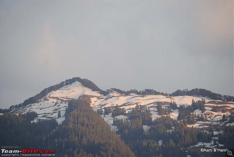 A drive to Pabbar valley & Chanshal: Spring break 2011-dsc_50131.jpg