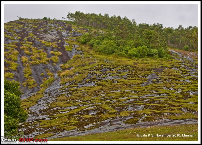 Civved : Kodaikanal, Munnar-_dsc4689p.jpg