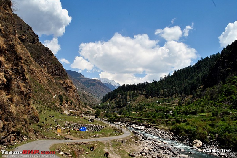 A drive to Pabbar valley & Chanshal: Spring break 2011-dsc_5068.jpg