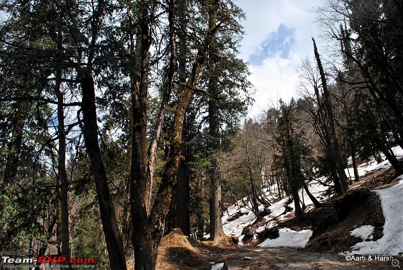 A drive to Pabbar valley & Chanshal: Spring break 2011-dsc_5083.jpg