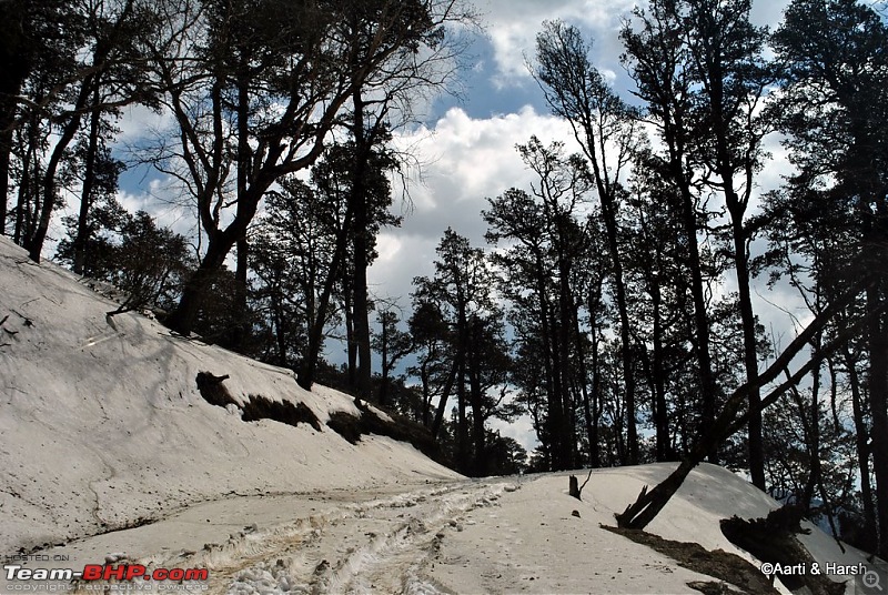 A drive to Pabbar valley & Chanshal: Spring break 2011-dsc_5084.jpg