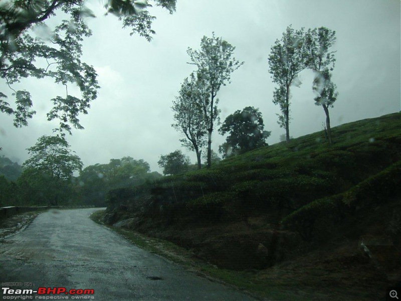Heart of Deccan Plateau - HYDERABAD to Kannan Devan Hills - MUNNAR-dsc01656.jpg