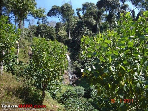 Bangalore - Chikamagalur-small_falls.jpg