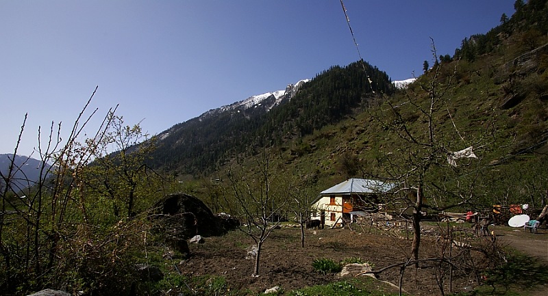 Blissful, beautiful Bhabha Valley @ Kafnu-homestay_2.jpg