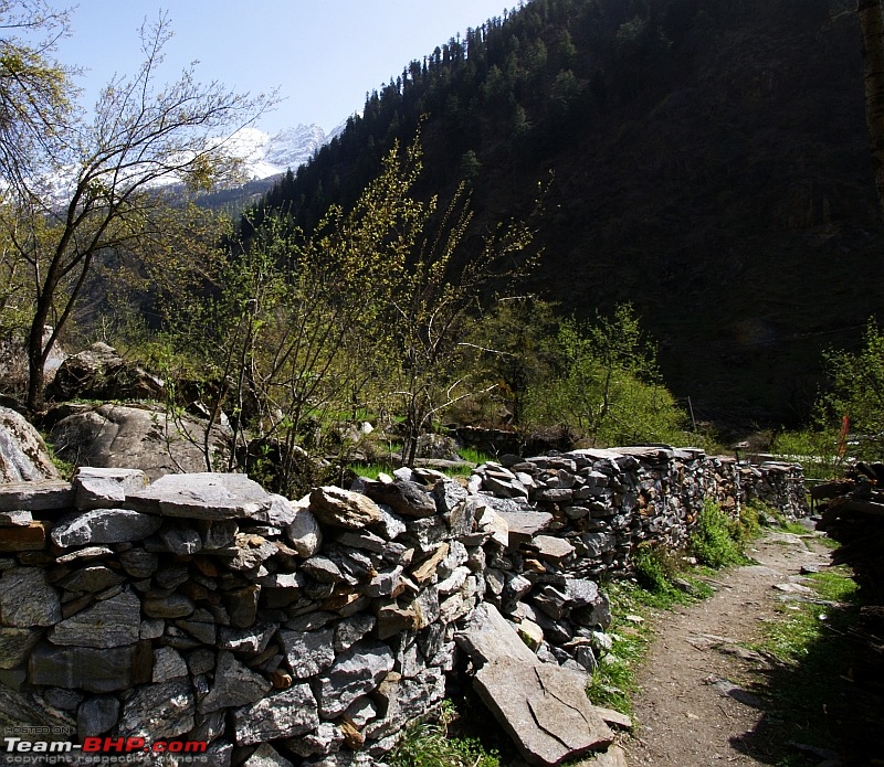 Blissful, beautiful Bhabha Valley @ Kafnu-homestay_path.jpg