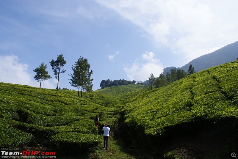 Bangalore Munnar Kodaikanal Valparai - 10 days of bliss-o.jpg