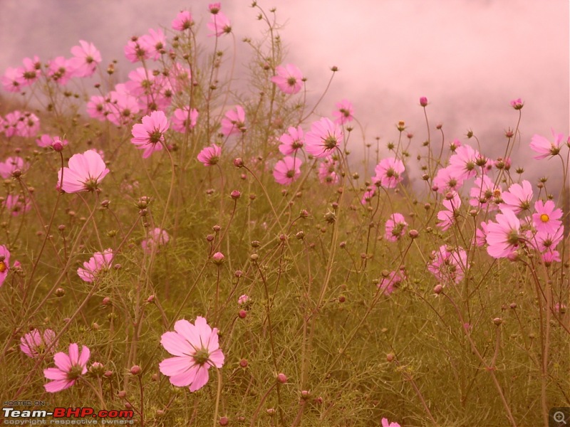 An unknown village - Jammu & Kashmir-fl1.jpg