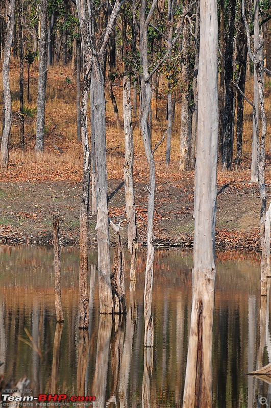 Gurgaon - Jhansi - Khajuraho - Bandhavgarh - Pench - Kanha - Bhedaghat - Gurgaon-4265.jpg