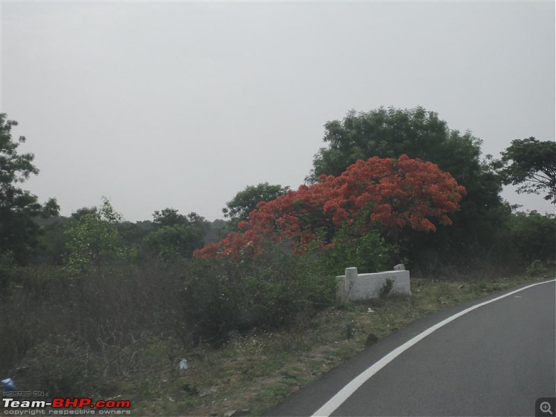 A Short Quick Trip to Srisailam-img_2616.jpg