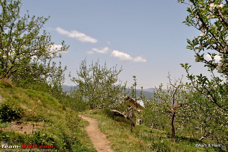 A drive to Pabbar valley & Chanshal: Spring break 2011-dsc_5250.jpg