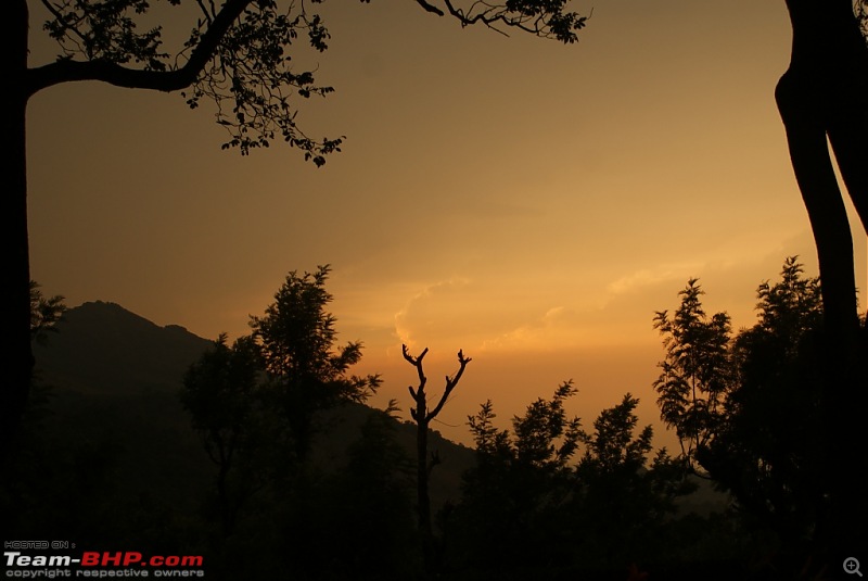 Bangalore Munnar Kodaikanal Valparai - 10 days of bliss-zv.jpg