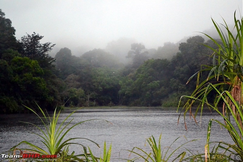 Faujis Drivologues  Chasing Mango showers in WAYANAD and MALNAD!-pookat-21.jpg