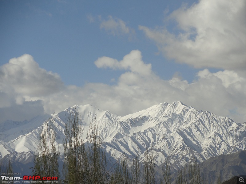Last-minute Ladakh: My early summer travelogue-dsc02454.jpg