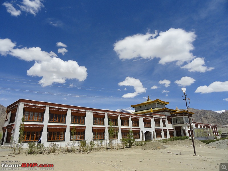 Last-minute Ladakh: My early summer travelogue-dsc02666.jpg