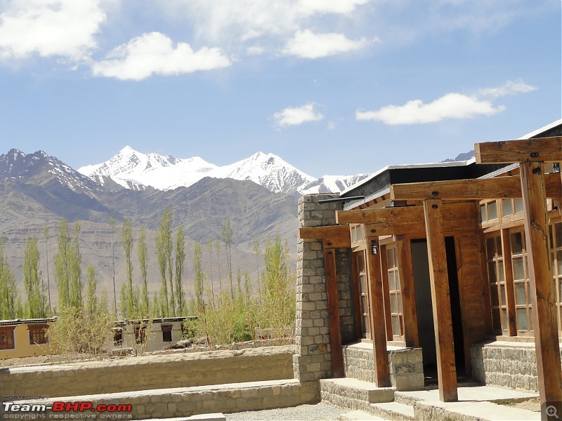Last-minute Ladakh: My early summer travelogue-dsc02637.jpg