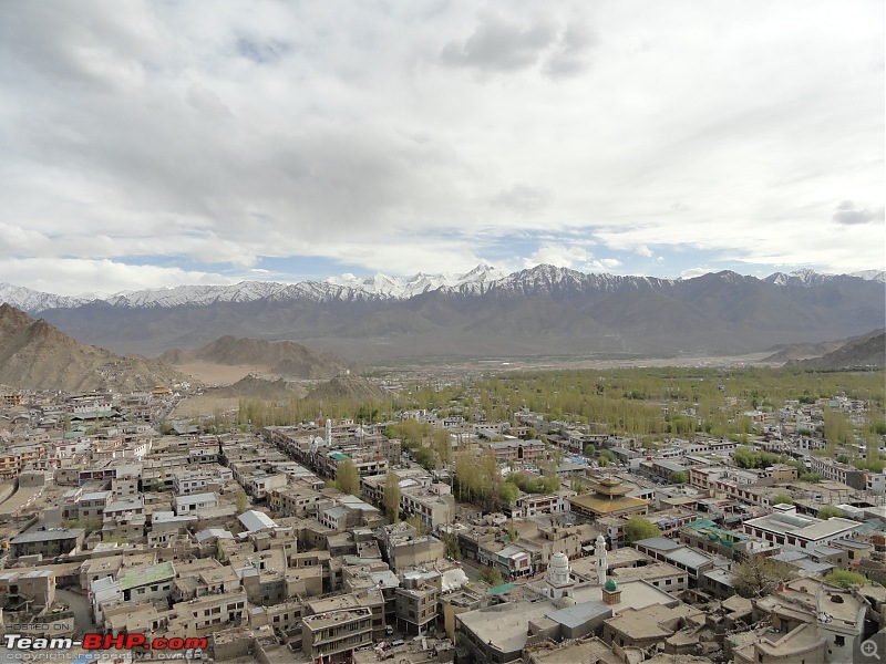 Last-minute Ladakh: My early summer travelogue-dsc02722.jpg