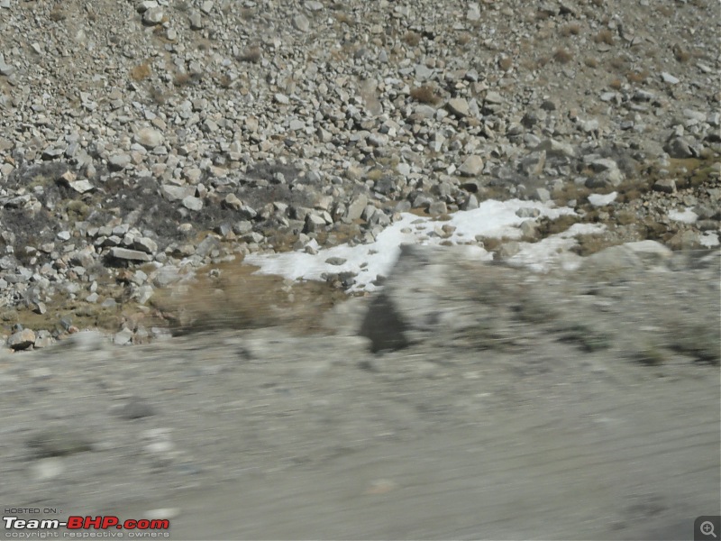 Last-minute Ladakh: My early summer travelogue-dsc02734.jpg