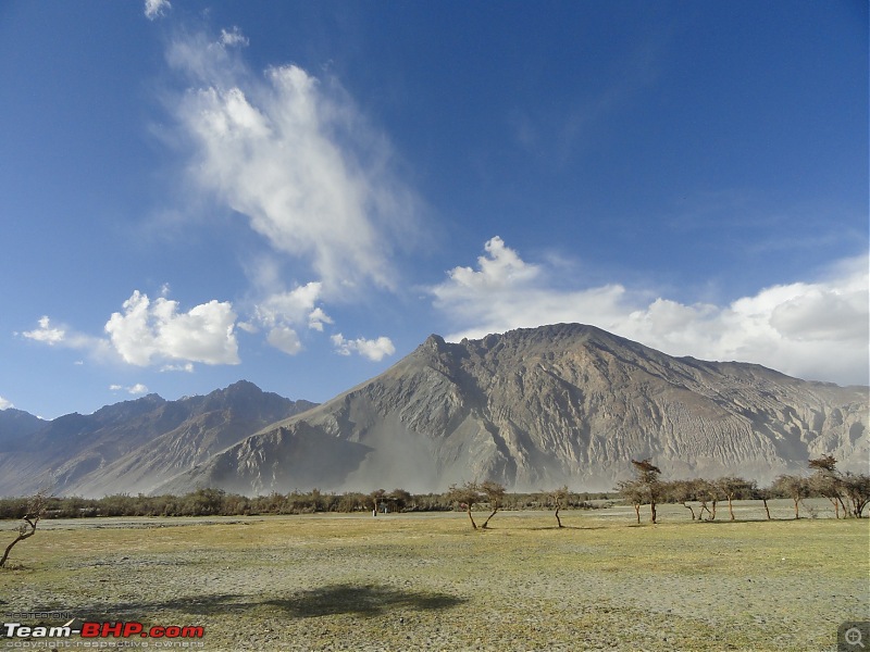 Last-minute Ladakh: My early summer travelogue-dsc02909.jpg