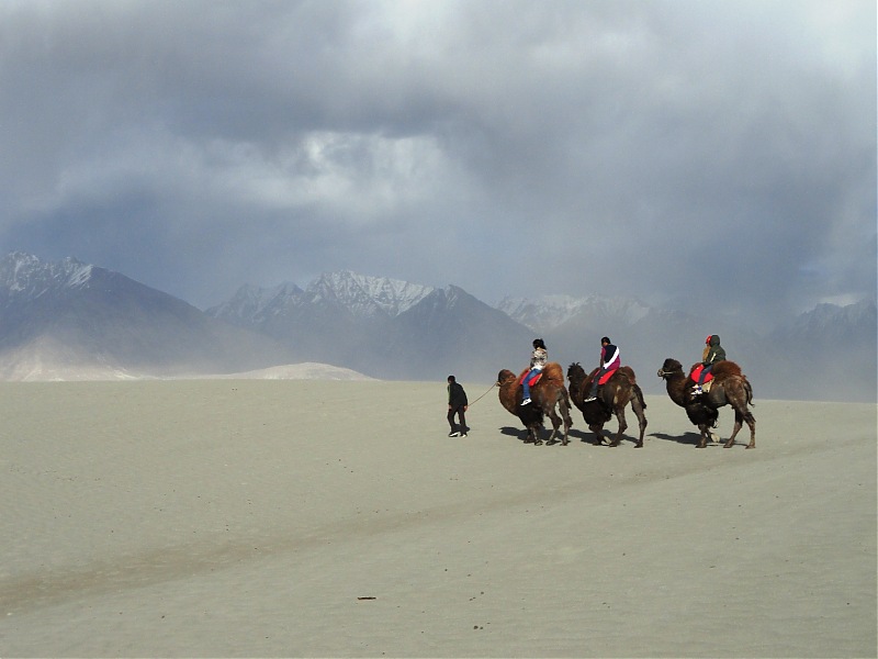 Last-minute Ladakh: My early summer travelogue-dsc02915.jpg