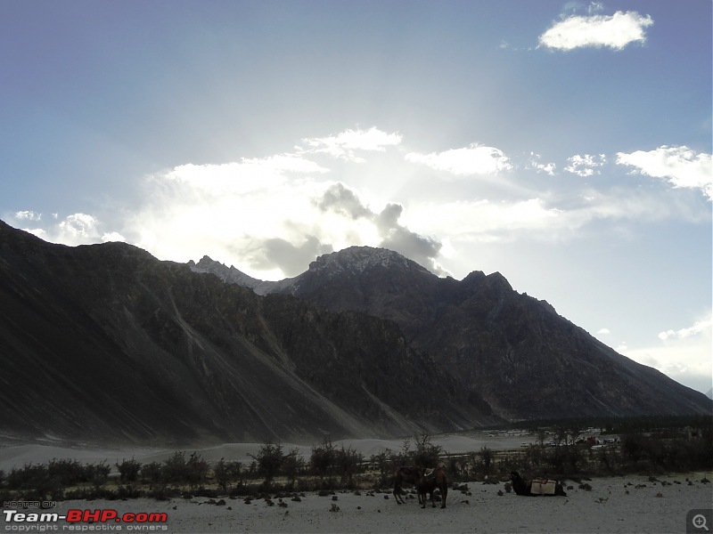 Last-minute Ladakh: My early summer travelogue-dsc02931.jpg