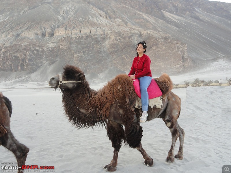 Last-minute Ladakh: My early summer travelogue-dsc02935.jpg