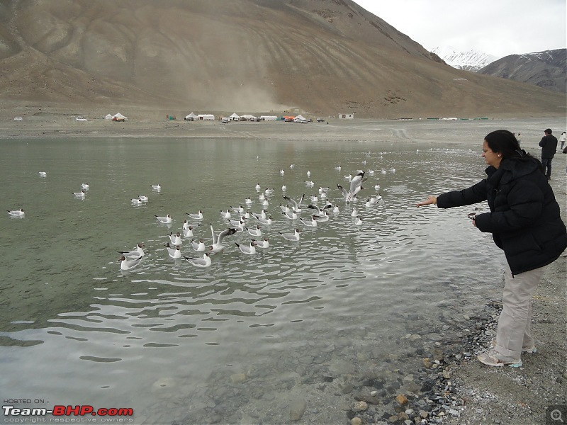 Last-minute Ladakh: My early summer travelogue-dsc03054.jpg