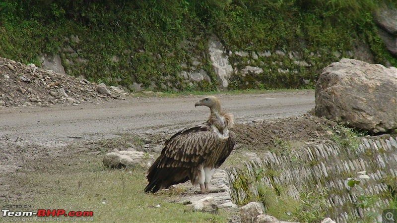 The Spiti Loop > done differently - 7900kms-dsc00490.jpg