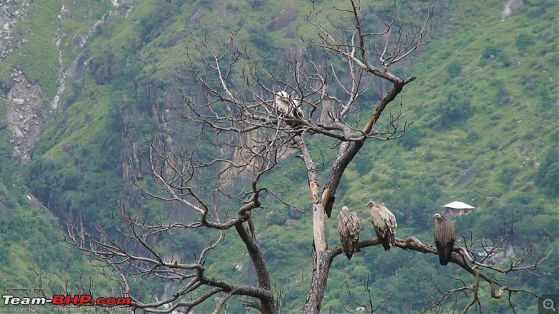 The Spiti Loop > done differently - 7900kms-dsc00493.jpg