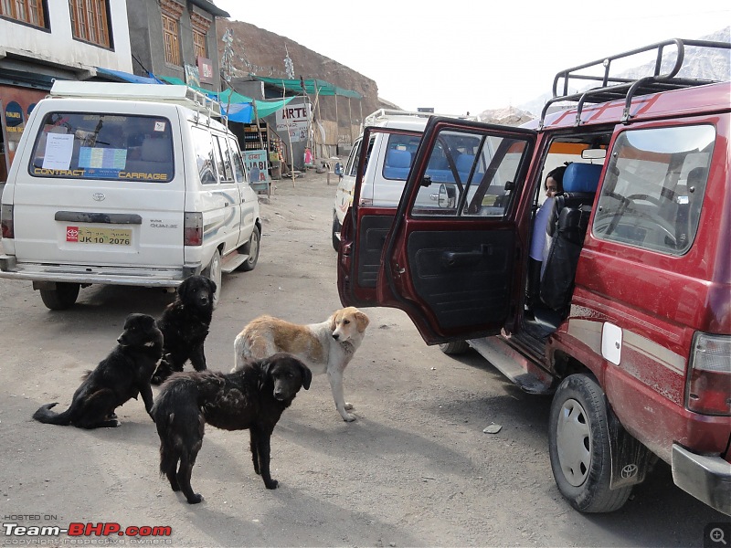 Last-minute Ladakh: My early summer travelogue-dsc02990.jpg
