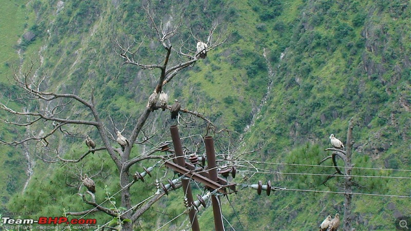 The Spiti Loop > done differently - 7900kms-dsc00494.jpg