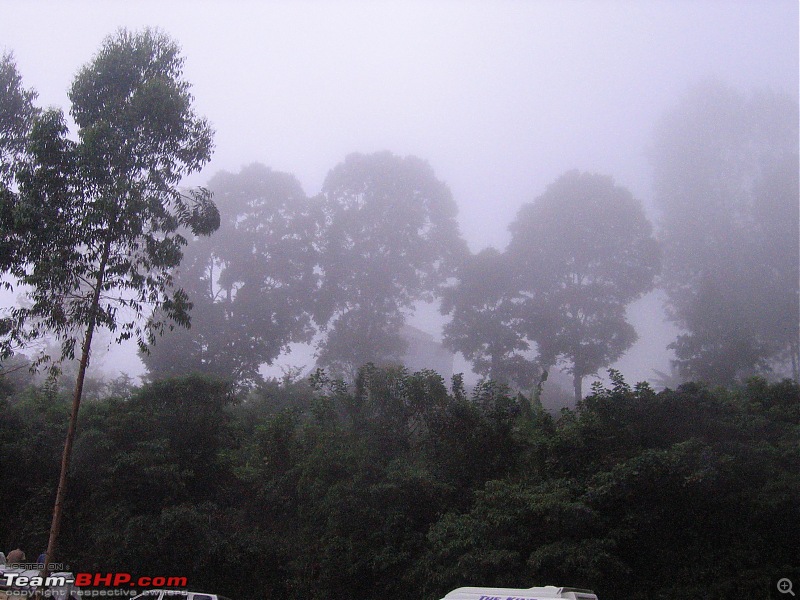 Kodai and Madurai --> An unforgettable trip-img_6129.jpg