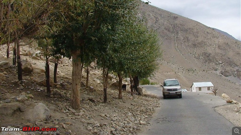 The Spiti Loop > done differently - 7900kms-dsc00631.jpg