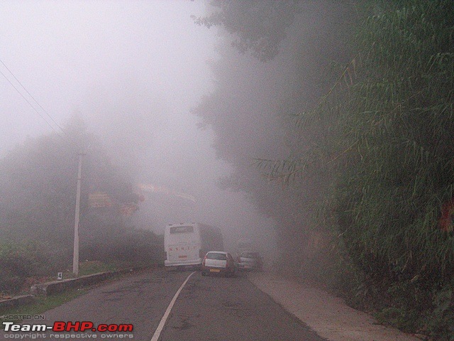 Kodai and Madurai --> An unforgettable trip-img_6133.jpg