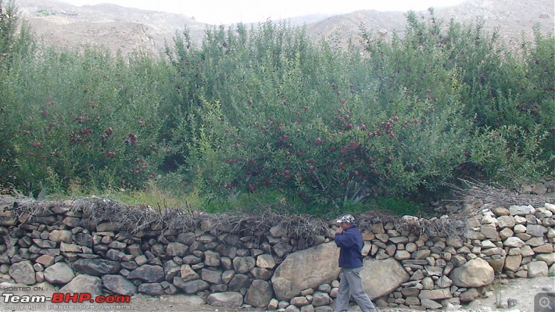 The Spiti Loop > done differently - 7900kms-dsc00634.jpg