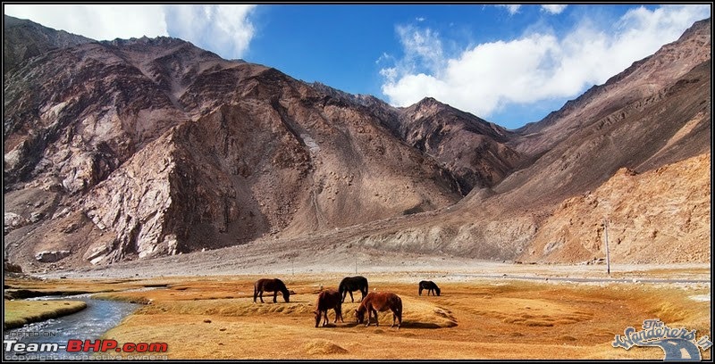 Self-Drive Expedition Travel-Ladakh and cold desert Changthang in "off-season" Oct 10-ladakh-changthang106.jpg