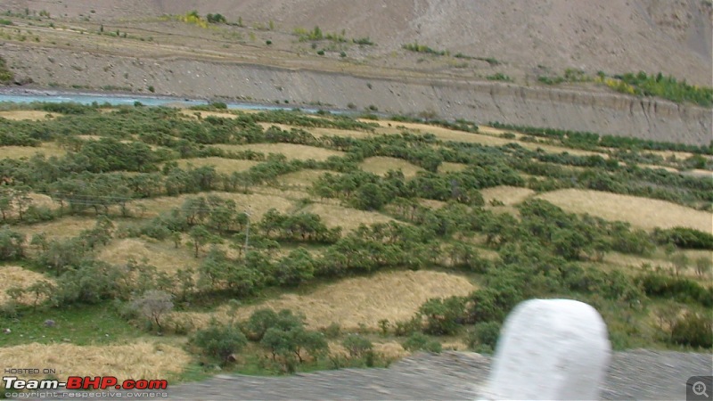 The Spiti Loop > done differently - 7900kms-dsc00700.jpg